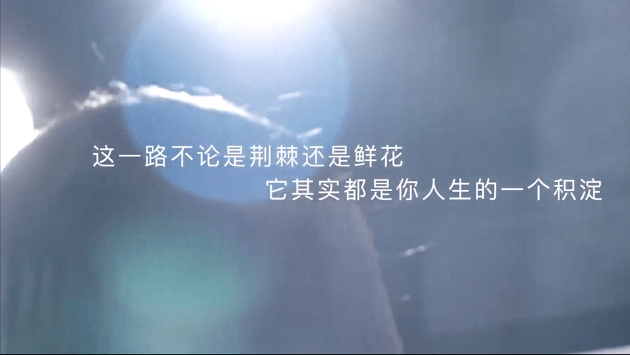 66bac8302396413595051ba70db16467.png
