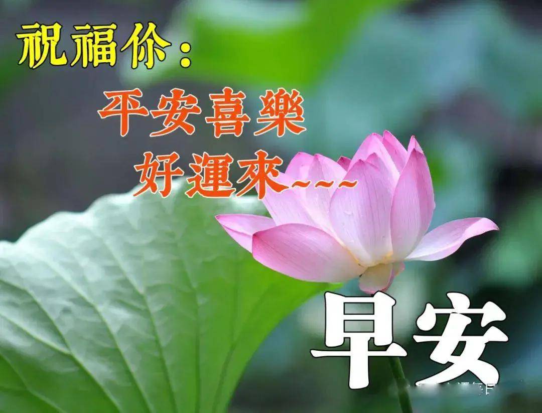 原创9月30日秋高气爽早上好的说说 早上好动态表情包