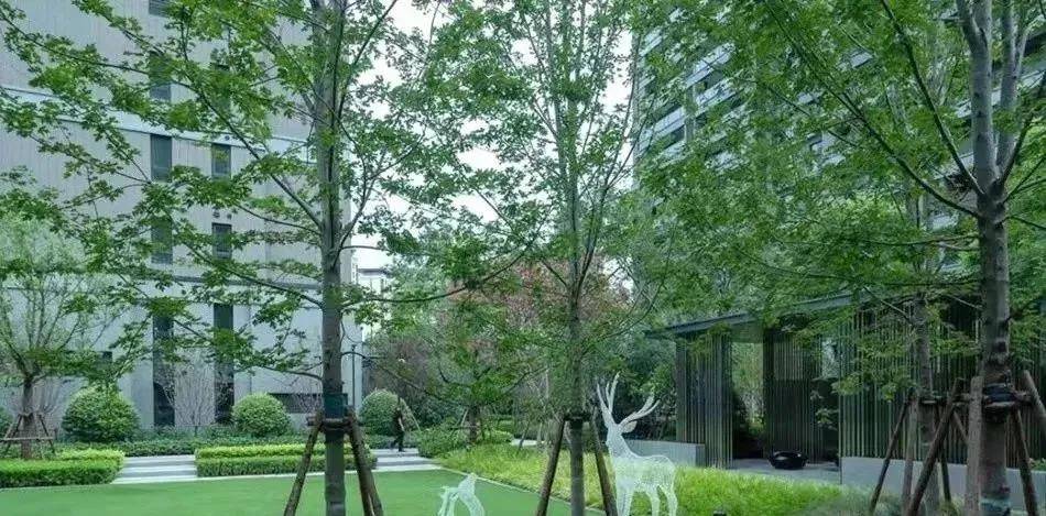 鹏瑞颐璟府怎么样?好不好?鹏瑞颐璟府值不值得买?_深圳