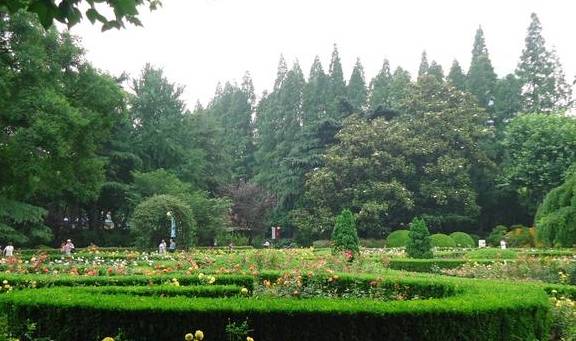 上海法式公园走红，保存完整“我国唯一”，距外滩仅3.6公里