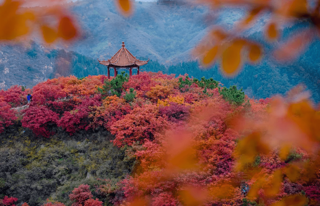 秋雨|渐入佳境！童话城堡般的泉城济南，等了一年，终于要来了！