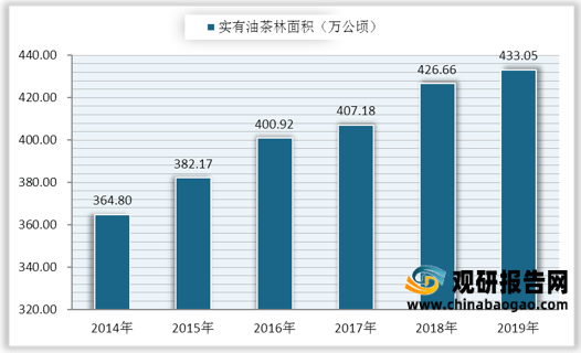 油茶产业供给分析茶油林面积不断增长湖南茶油产量全国第一