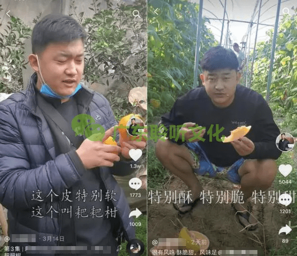 如何在抖音开播卖水果 88959048bbe2465abe59c4f581fe5b39.png
