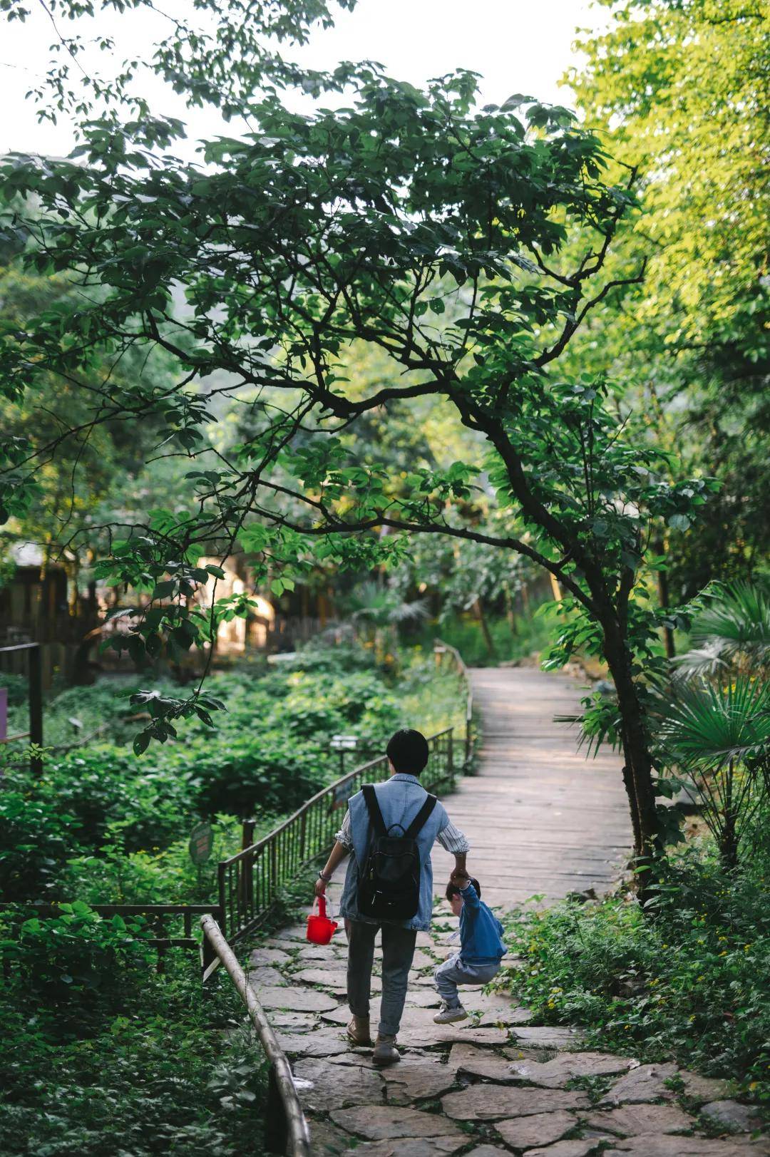 三河村|沙坪坝宝藏打卡地！不仅只有粉红花海，还有诗有景有远方......