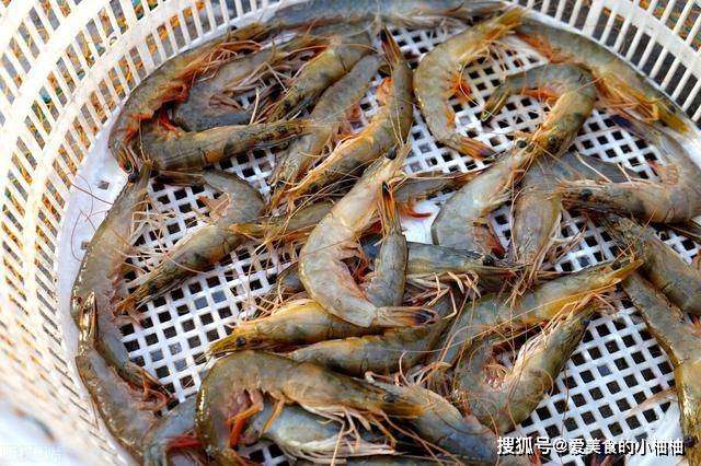 怎么解冻虾保鲜 b04ea2d5303a445caf0e86f6198f9506.jpeg