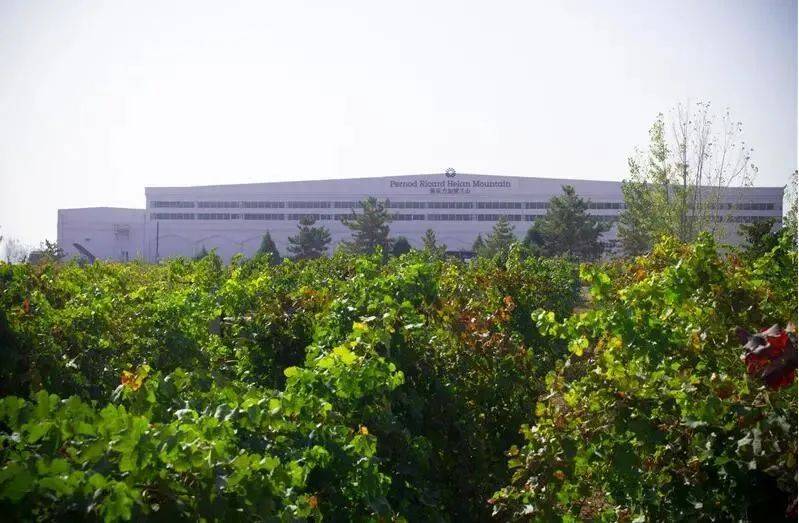 图片|最新 | 2021年度宁夏列级酒庄揭晓!