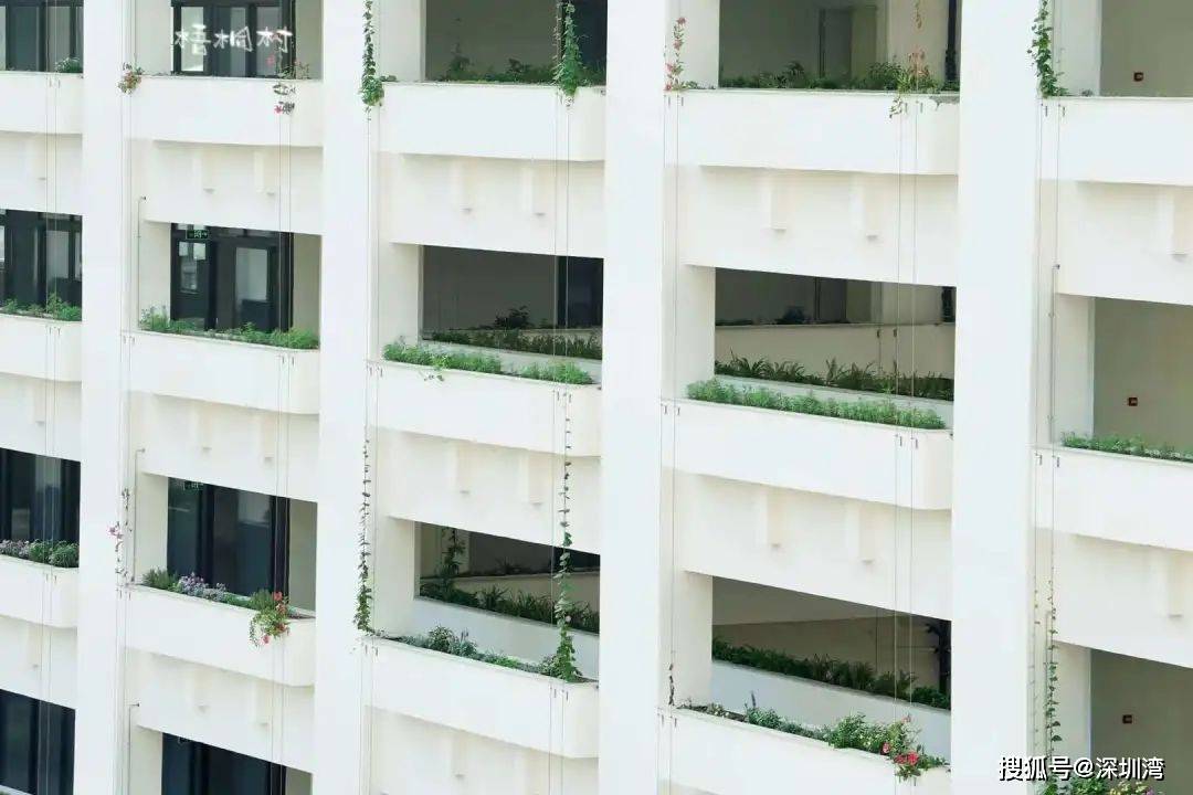 科技|不止于学习平板，教育「双减」后，教育硬件仍大有可为！