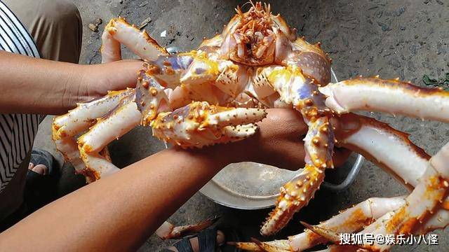 怎么煮才好吃帝王蟹 ef3a61f3e8654049a2dd8e939a7ff1ad.jpeg