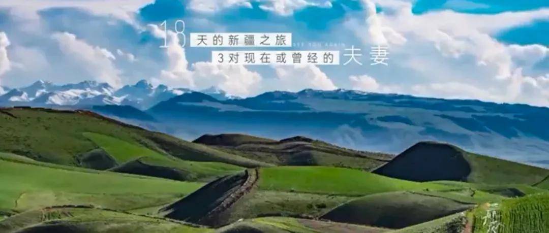 国产|国产影视剧扬帆“出海”: 讲好新时代中国故事