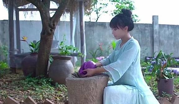 产品 女子模仿李子柒葡萄皮染衣服，看到成品，网友：衣服跟着你白瞎了