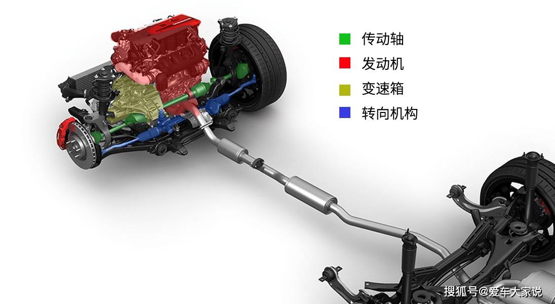 牛前驱后驱分割图图片