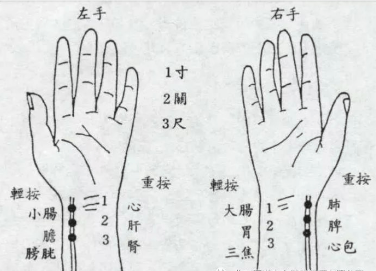 如何辨别中医常见脉象了解这5个维度在家自己也能把脉