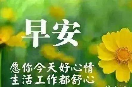 47f22fcc78ed4144bf4d98b35daf9f01.jpeg