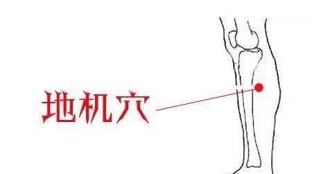 如何摸骨头 8e1cead359f04ff5b9d6923f3ab49423.jpeg