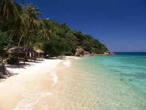 真实的马来西亚是怎样的 a271c9deedb74da0ad29e0c0bca3e3f1.jpeg