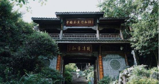杭州茶叶博物馆，美过京都名古屋，没去过都不算来过杭州