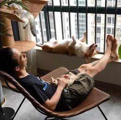 醉人回家未见柯基网友慌了,正着急时走到阳台一看,顿时笑抽了