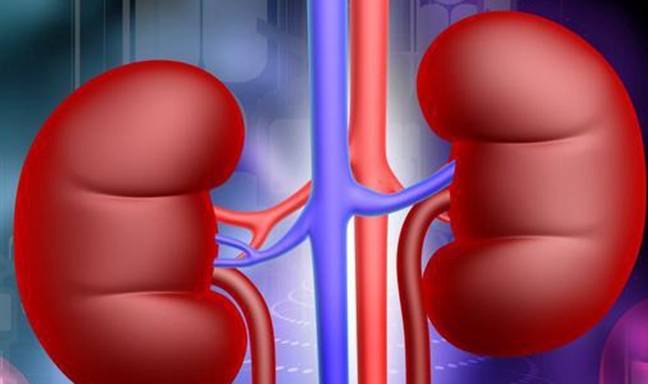 饮食|肾病竟然也是“夫妻病”！夫妻间的这3个习惯，再难也要改！