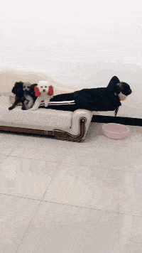 搞笑GIF：只要你來學車，我就干看孩子的活 搞笑整蠱 第2张