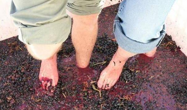 因为|才知道,这4种食物都是用脚踩出来的,网友:第3种我每天都在吃