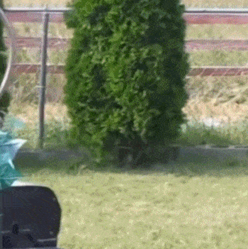 搞笑GIF：這是我第一次去鬼屋 也是我最後一次去 搞笑整蠱 第22张