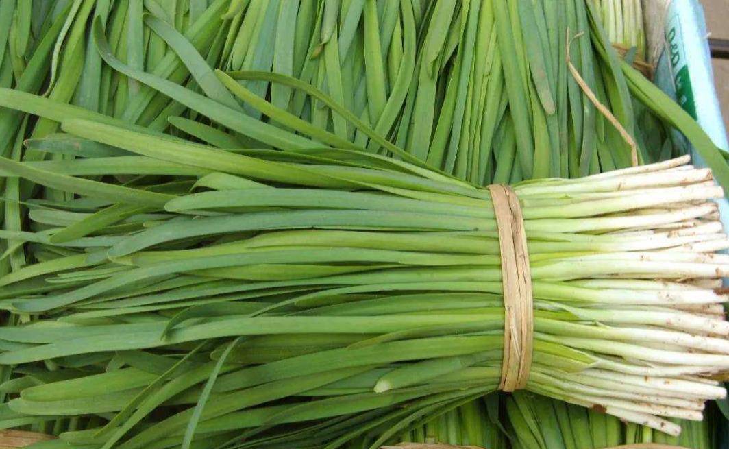 什么时候韭菜好吃 5b3996d6f9114e3bba21fa52d7265479.jpeg