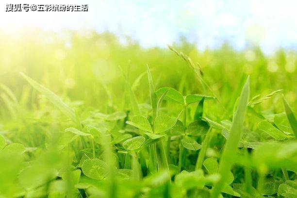 救赎|未来5天,白茶清欢,难以忘记,原地等待,懂得珍惜,唯你救赎