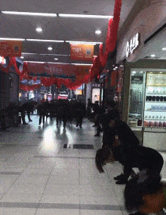 搞笑GIF趣圖:大家醒了沒，早上好啊！ 搞笑整蠱 第5张
