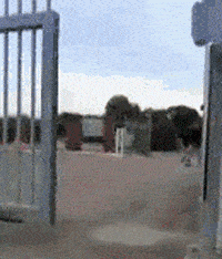 搞笑GIF：我可以負責任的告訴你、你這樣打蛋，是沒有靈魂的 搞笑整蠱 第5张
