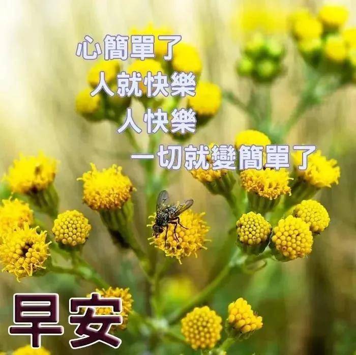 8张最新创意好看的秋日早安早上好图片 2021不用打字聊天的早上好问候