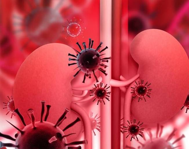 蛋白|此类药物是降尿蛋白的“利器”,尤其适合2类肾病