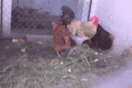 1a3c49f2163d474087803f5aa59a956f.jpeg