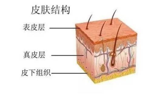 人体吃胶原蛋白的都是傻白甜吗？请看数据说话吧