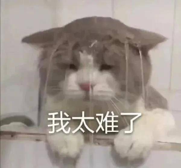 陈赫|《最后的赢家》全员配合赵又廷飙戏?秦霄贤直接大喊“放回去”