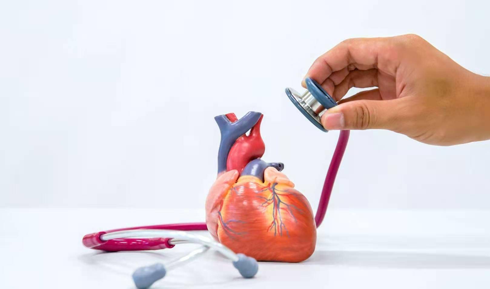 诊治|限制性心肌病，心肌病中最罕见的类型，其诊治手段有哪些呢？