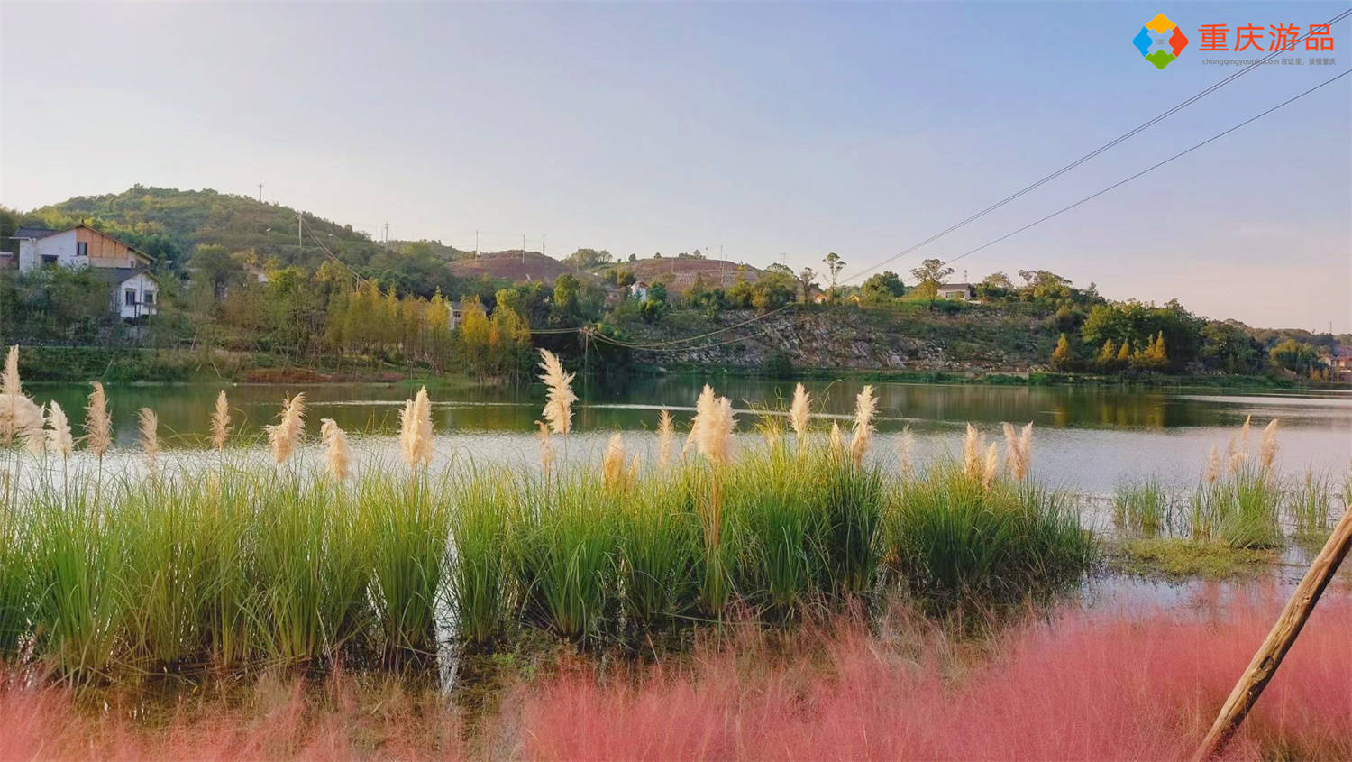 重庆沙坪坝斐然湖，新晋网红拍照圣地，情侣约会好去处