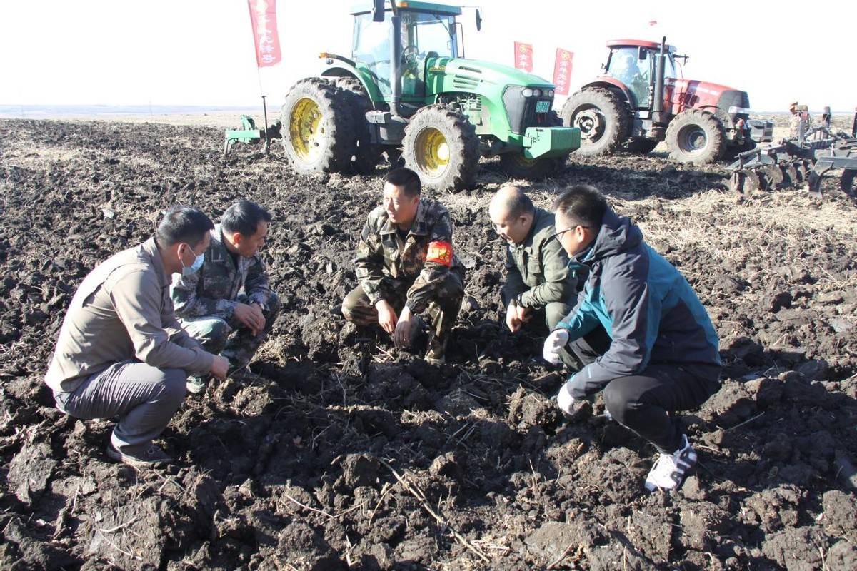 黑龙江省海伦市红光农场有限公司"秋收劳动竞赛"争分夺秒保秋收