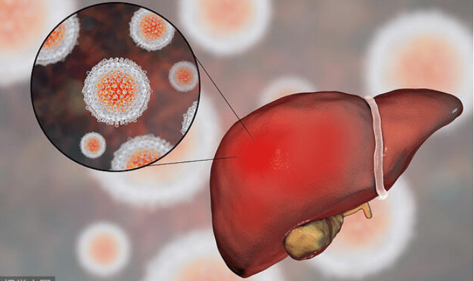 肝脏|早餐是养肝“黄金期”！4种食物换着花吃，或可让肝脏变红润