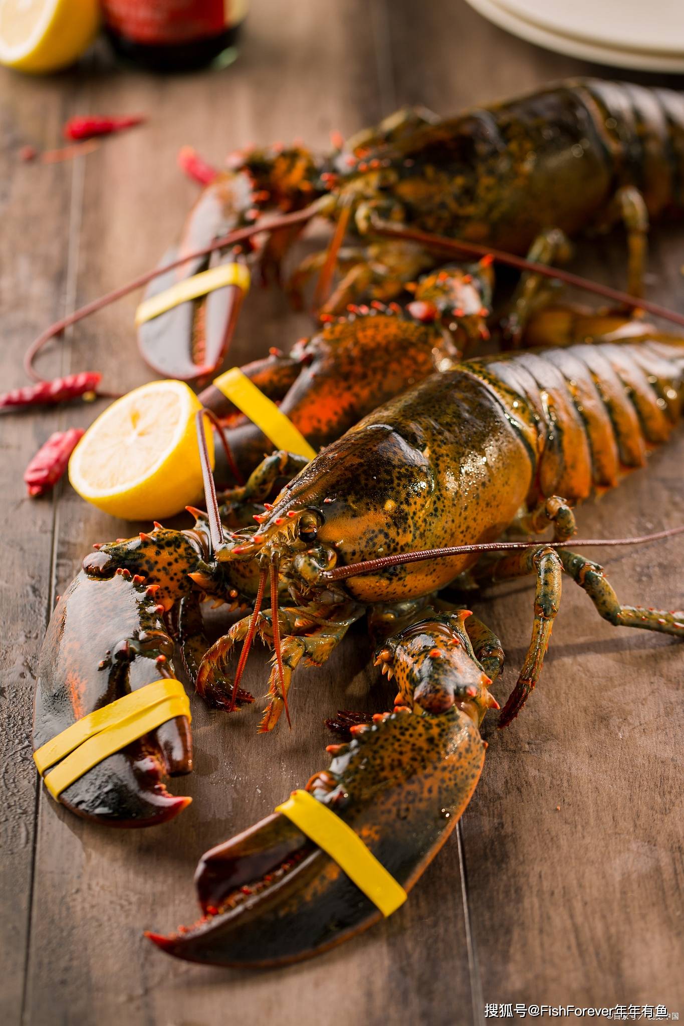 年年有鱼海鲜波士顿龙虾好在哪里,你知道其中的原因吗?