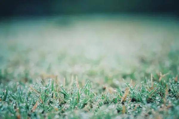 见证|寒露 | 最是橙黄橘绿时，却道天凉好个秋！