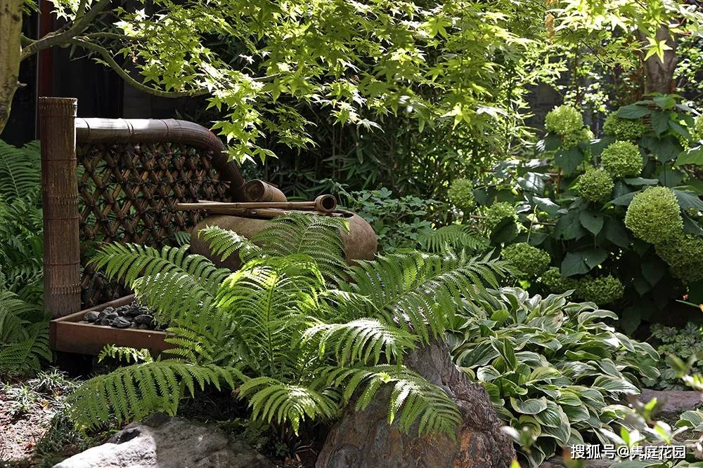禅意花园里植物的那些事 北方篇 隽庭 全网搜