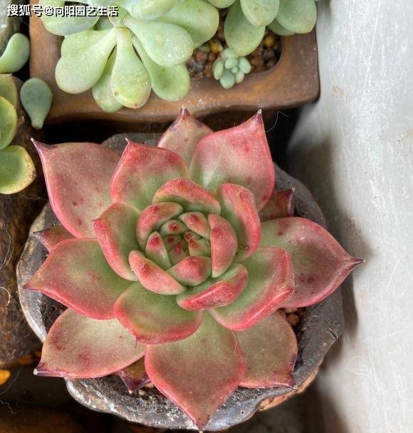 348b8af586224f22b0e81541c229f8ff.jpeg