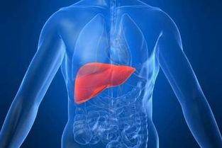 治疗|乙肝携带者有可能发展成肝癌吗?遵循以下原则,或有希望治愈