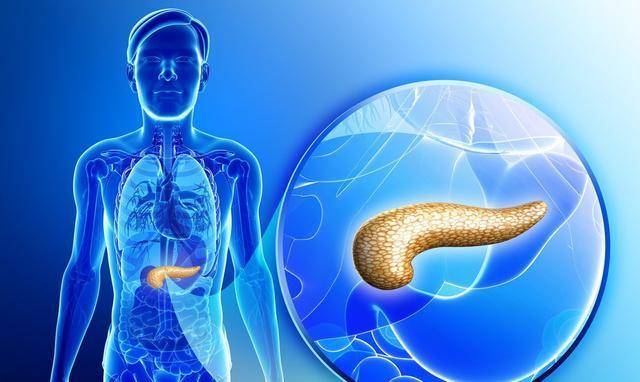 控制|2型糖尿病能不能逆转，为什么有些人，不服药也能控制血糖？