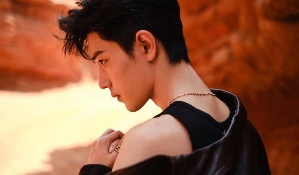 滴露|肖战新代言出发点与众不同，主要目的不再是销量，反向思维妙得很