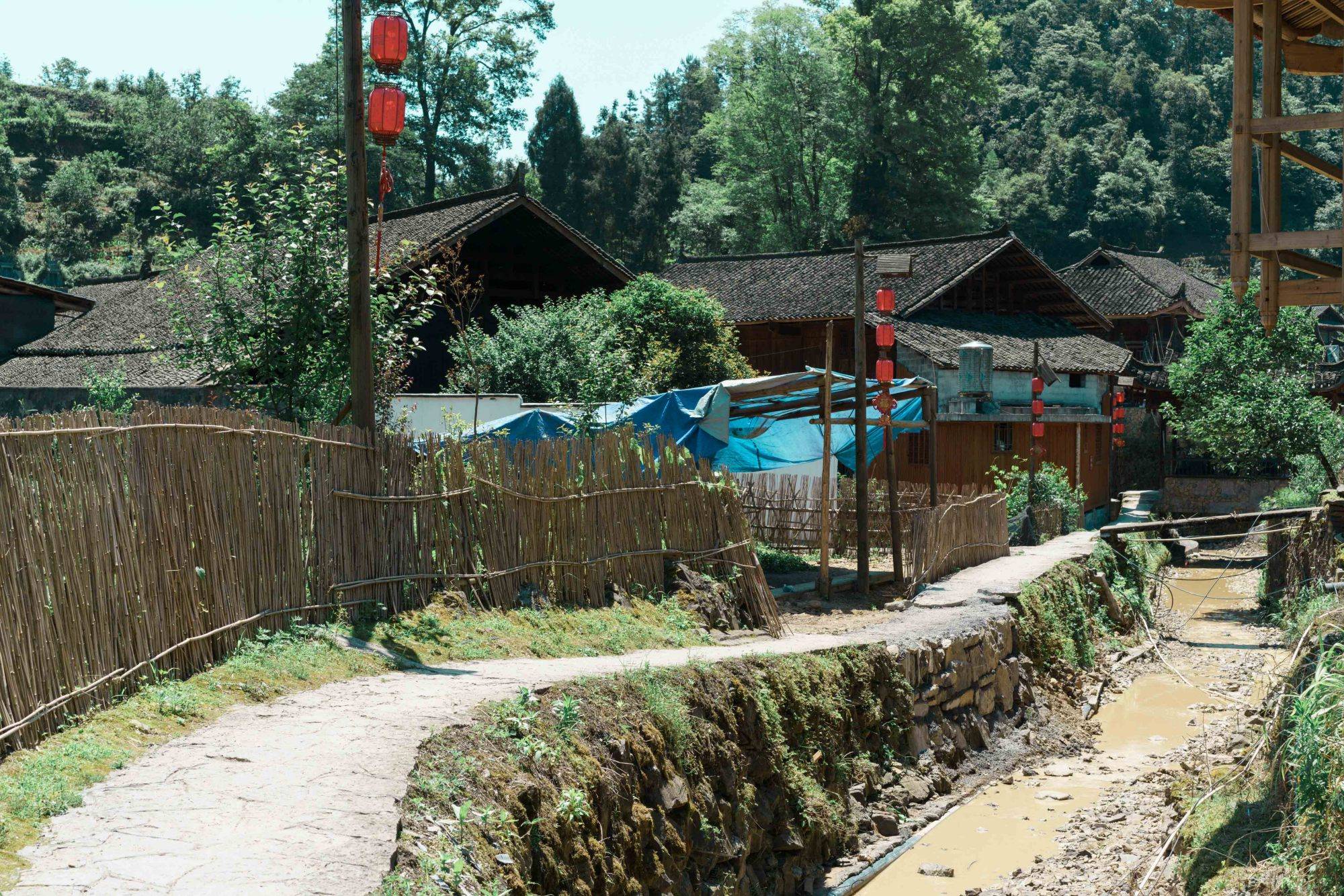 因一档综艺节目走红,全村不到千人的湘西小山村,还是名人故乡_草村