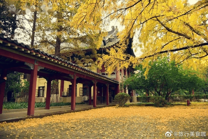 微博 秋天是一个美好的季节