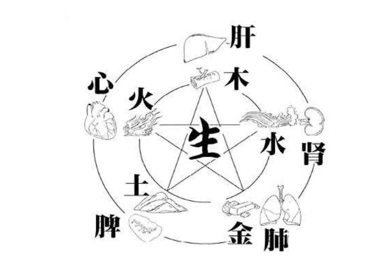 泰五行属火还是属水 47b28ca1e4f2426286a5879342278d50.png