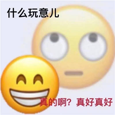 超级有趣emoji双面表情包大全