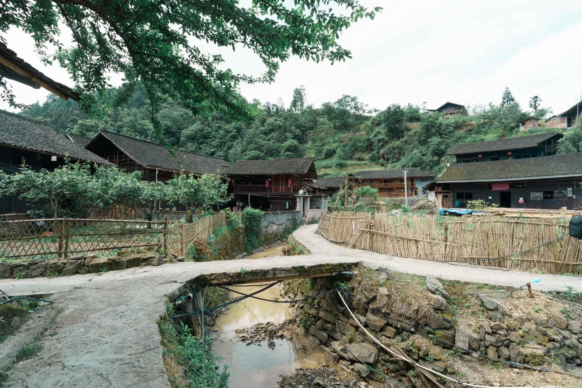 翁草村,一個連大文豪沈從文都稱之為世外桃源的美麗山村,是一個典型的